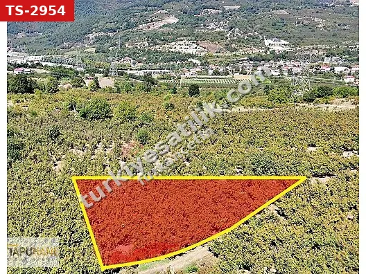 TAPUHANE'DEN AKYAZIDA 3.445M2 SATILIK FINDIKLIK